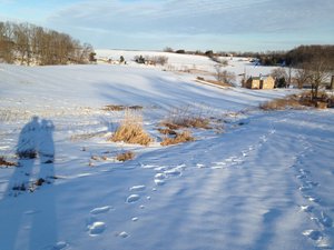 Snow-covered landscape with footprints leading through a field, shadow of a person in the foreground, and distant farmhouses under a clear sky.